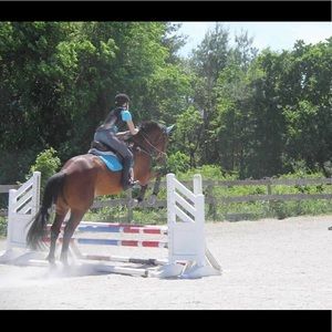 Meet your Posher, Genevieve